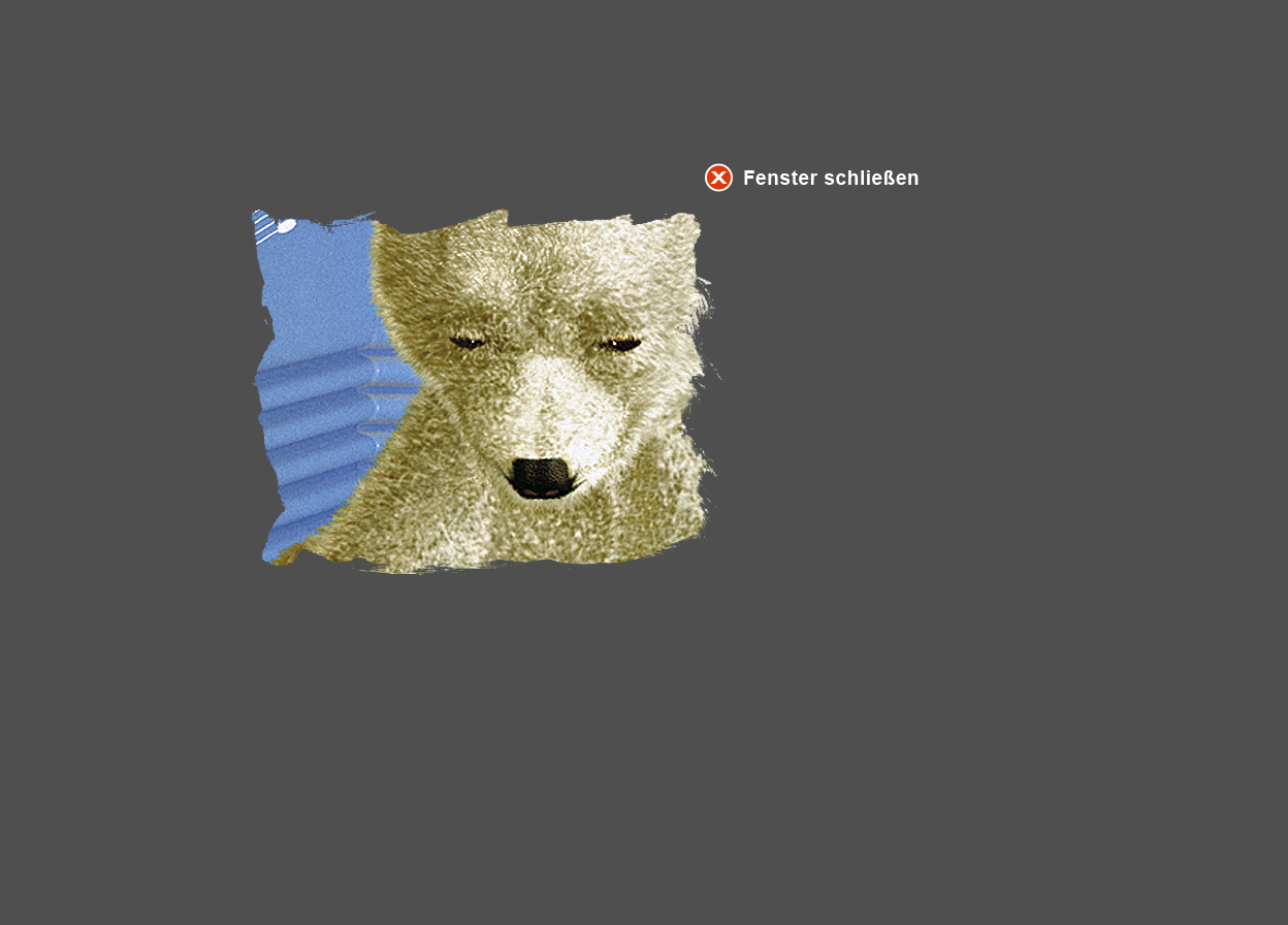 Große Abbildung Ausschnitt Digital-Montage "Klimawandel in der Arktis: Kopf vom kleinen Eisbären"