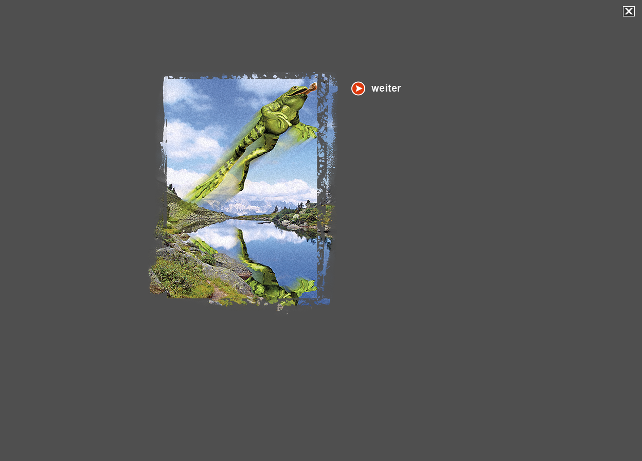 Große Abbildung Digital-Montage "Bermuda Spiegelsee"
