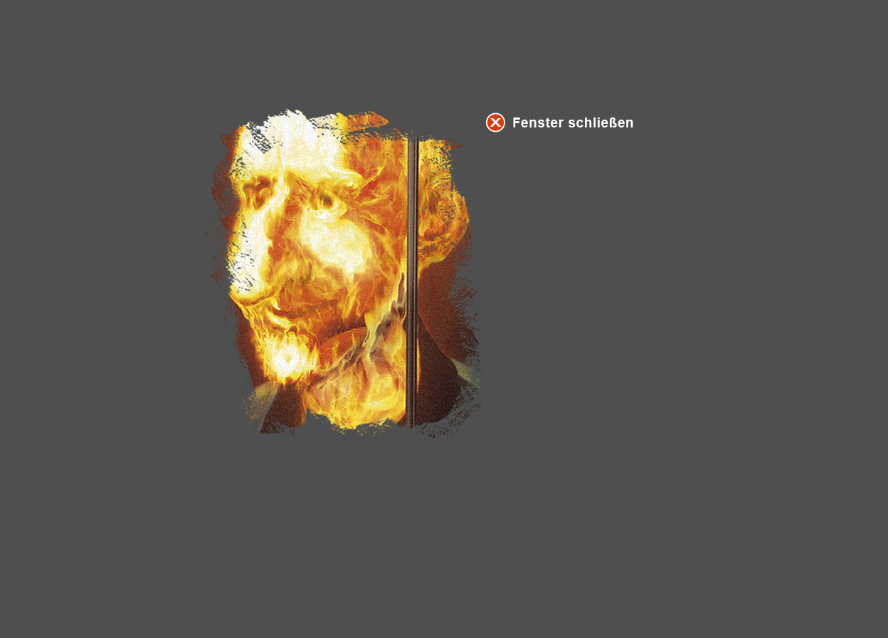 Große Abbildung vergrößerter Ausschnitt Digital-Montage "Der Lügner - Feuer"