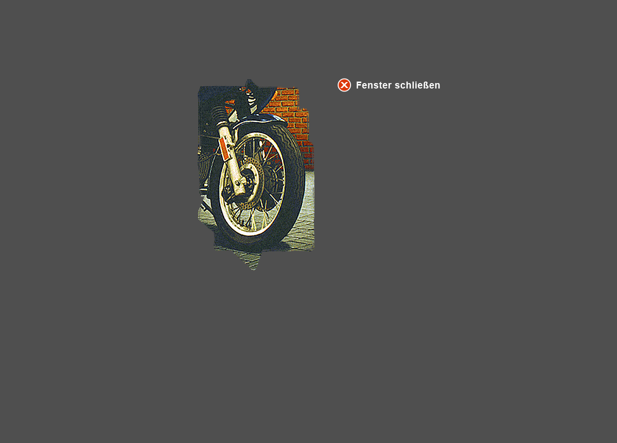 Abbildung vergrößerter Ausschnitt aus Öl-Bild "Motorrad"